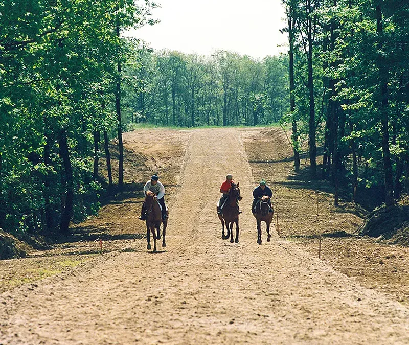 Haras de Maury - Région Toulousaine- France