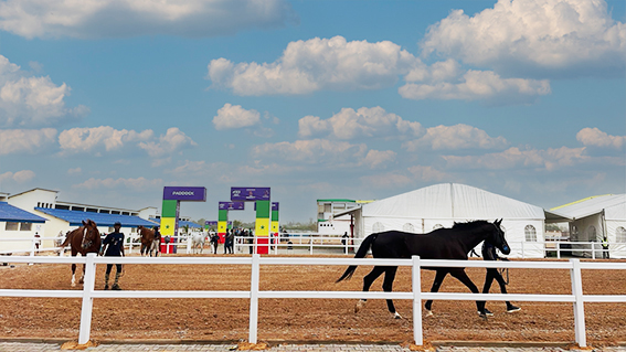 Caserne équestre de Diamniadio